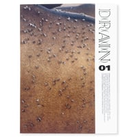 Image 11 of DRAIN ISSUE 01