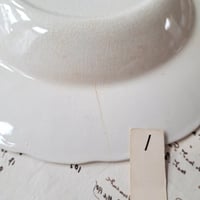 Image 4 of Gorgeous Gently Stained Deep Soup/Salad Plates