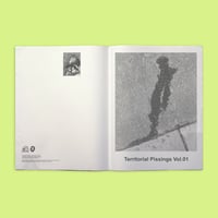 Image 2 of TERRITORIAL PISSING ZINE BY STEWART ARMSTRONG & SHELTER BOOK CLUB