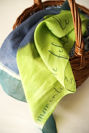 Image of Foulard n. 349 