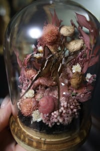 Image 2 of Dragontail Butterfly & Pink Amethyst Geode Terrarium