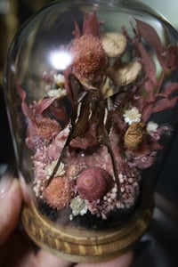 Image 3 of Dragontail Butterfly & Pink Amethyst Geode Terrarium