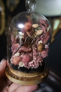 Image 1 of Dragontail Butterfly & Pink Amethyst Geode Terrarium