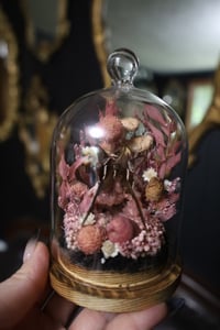 Image 5 of Dragontail Butterfly & Pink Amethyst Geode Terrarium