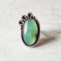 Apple Green Chrysoprase Ring