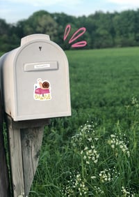 Image 4 of Pas de Pub