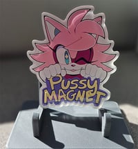 Image 1 of Sensh PUSSY MAGNET Fridge Magnet!