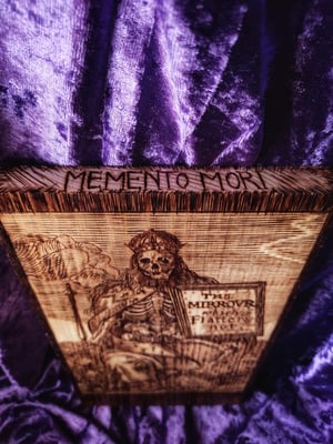 Image of The Mirrour which flatters not