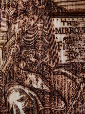Image of The Mirrour which flatters not
