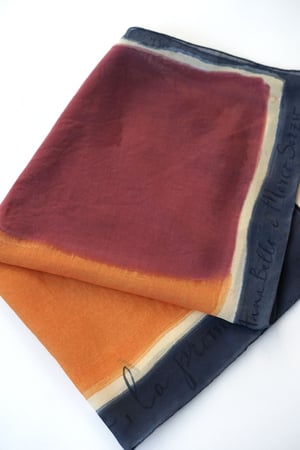 Image of Foulard n. 350