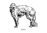 Image 1 of Borzoi Print