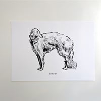 Image 2 of Borzoi Print