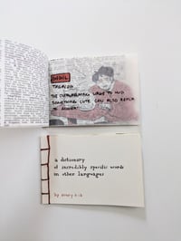 Dictionary Mini Comic