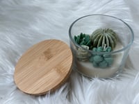 Image 1 of 16oz Garden - Lost Forest Scent
