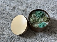 Image 1 of 8oz Garden Candle - Lost Forest Scent