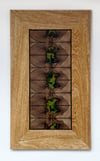 Wall art, scrap wood. "Still life N° 4" by R3