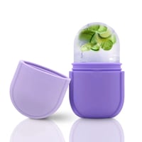 Silicon Ice Face Roller