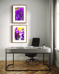 Image 7 of DID SOMEONE SAY PURPLE (24X18) 