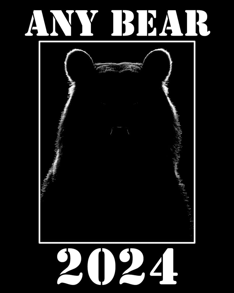 Image of Any Bear 2024