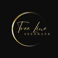 Image 4 of NEW~Tree Line Seed's ~ Sticky Crow