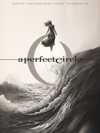 Image 1 of A Perfect Circle - Sessanta Tour 2024 - Clarkston, MI