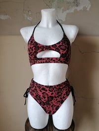 Image 6 of High Waist Bikini Pants / ALL COLORS