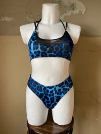 Image 7 of Bikini Brazilian Pants
