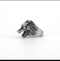 Image 1 of Anillo Lobo