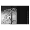 Print - The Convergence Series - image 3/4