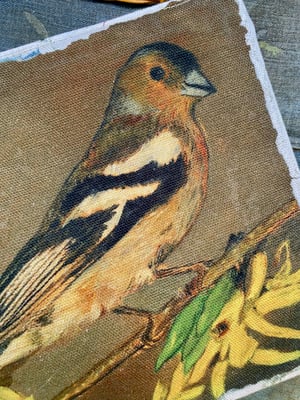 Image of Chaffinch pouch
