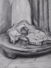 Image 2 of Charcoal Study for a still life 2024 approx 50cm x 35cm