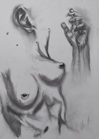 Large Charcoal Study of Female Torso Hand and Ear A2 2017