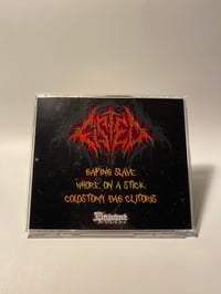Image 4 of FISTED - Whore On A Stick