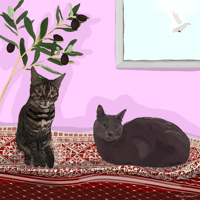 Pali Cats 