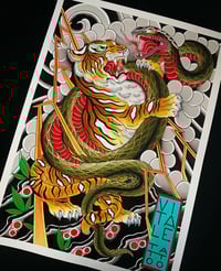 Tiger Vs Snake 