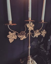 Image 2 of Ivy candlabra 