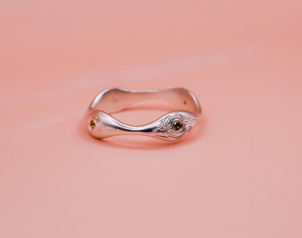 Image of Liquid Ring