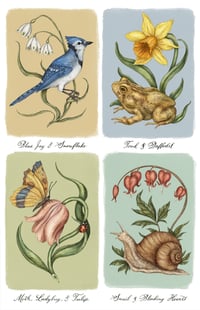 Image 1 of Garden Friends Prints