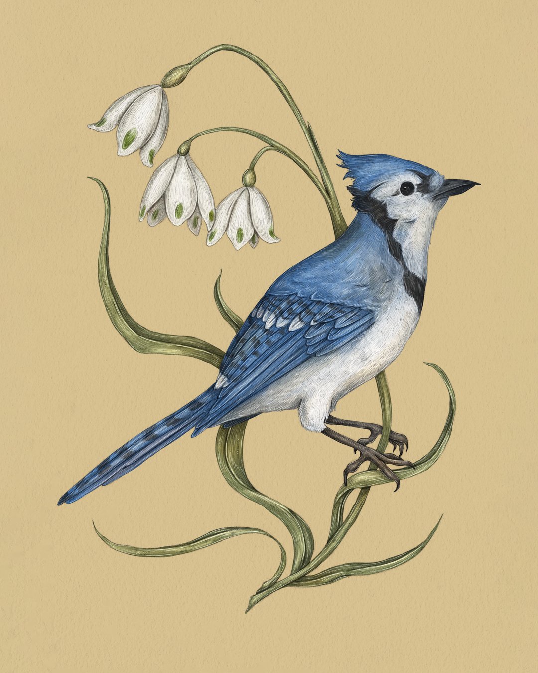 Garden Friends Prints | Jessica Roux