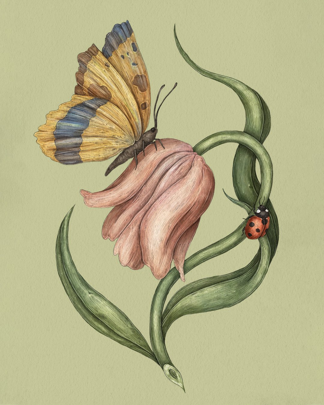 Garden Friends Prints | Jessica Roux