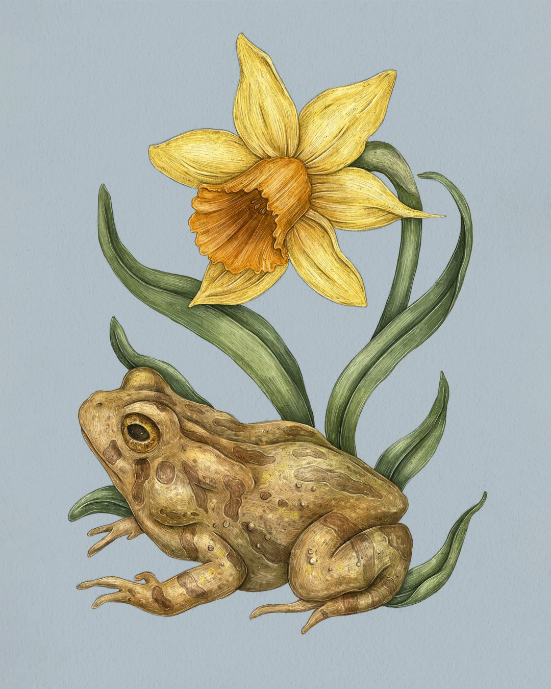 Garden Friends Prints | Jessica Roux
