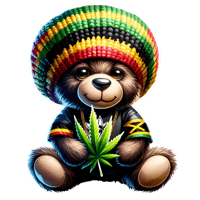 RASTA BEAR # 2 HOODIE