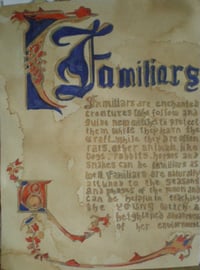 Image 1 of Book of Shadows page Familiars charmed