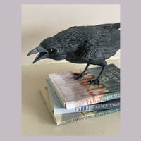 Image 2 of Officially licensed Ravenhood shelf ornament 