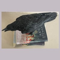 Image 3 of Officially licensed Ravenhood shelf ornament 