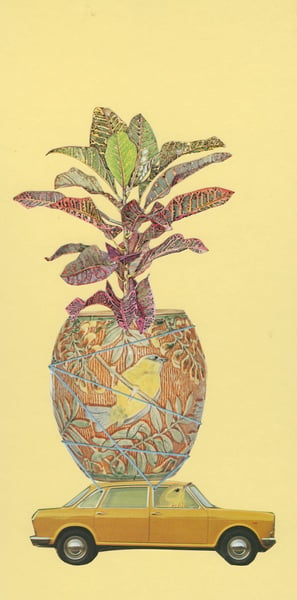 Image of Plant Bandit - original collage