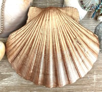 Image 3 of Hand decorated shell trinket dish beach theme
