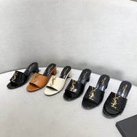 Image 2 of Y$L Slides