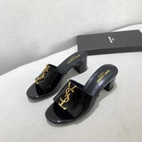 Image 4 of Y$L Slides