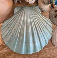 Image 2 of Shell trinket dish starfish aqua 